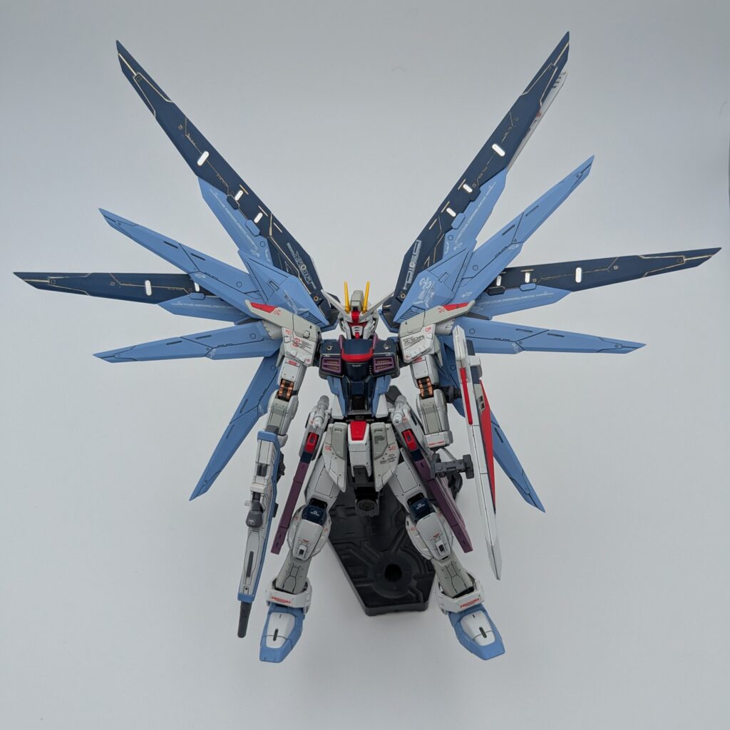 RG フリーダムガンダム 全体像3