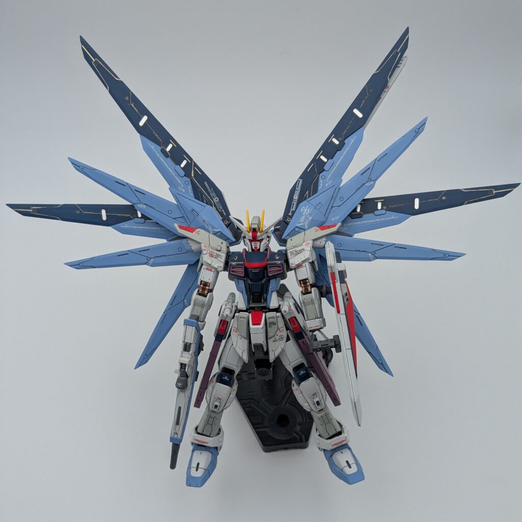 RG フリーダムガンダム 全体像2