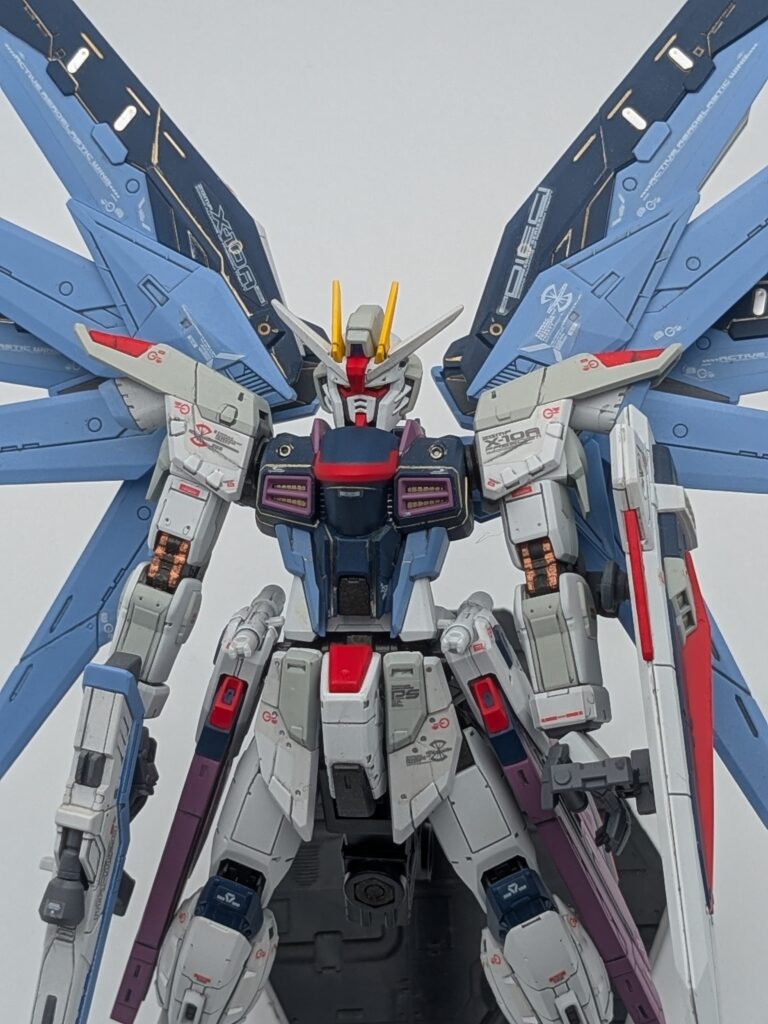 RG フリーダムガンダム 正面2