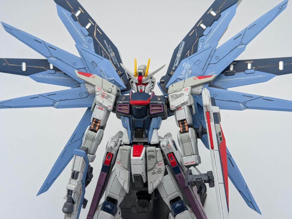 RG フリーダムガンダム 正面4