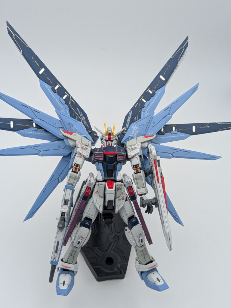 RG フリーダムガンダム 全体像4